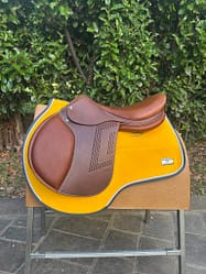 RENAISSANCE F2S for BHOOF